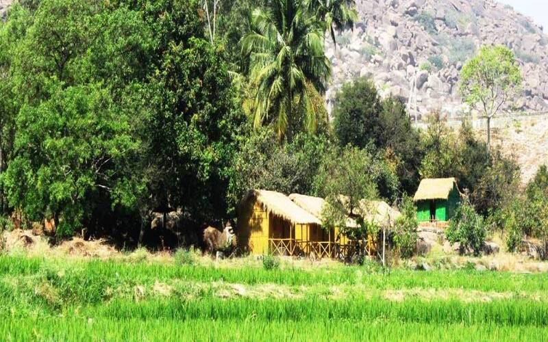 Gowri Resort, Gangavathi 3